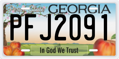 GA license plate PFJ2091