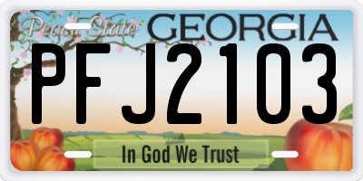 GA license plate PFJ2103