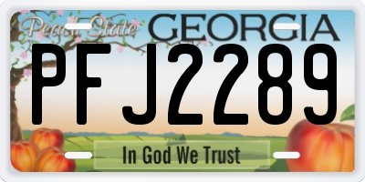 GA license plate PFJ2289