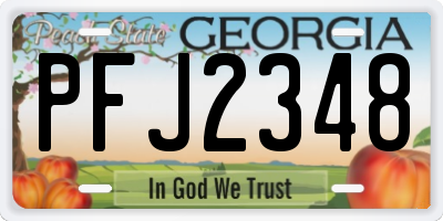 GA license plate PFJ2348