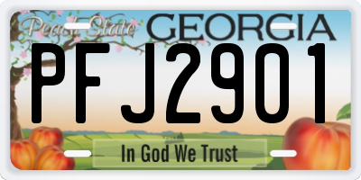 GA license plate PFJ2901