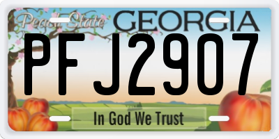 GA license plate PFJ2907