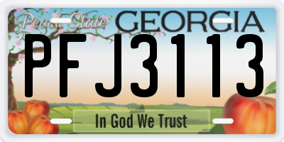 GA license plate PFJ3113