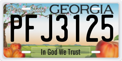GA license plate PFJ3125