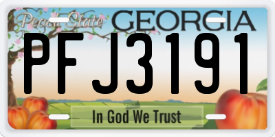 GA license plate PFJ3191