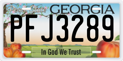 GA license plate PFJ3289