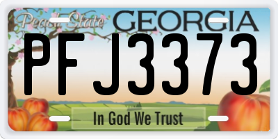 GA license plate PFJ3373