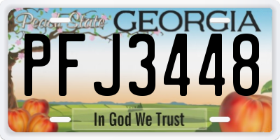 GA license plate PFJ3448