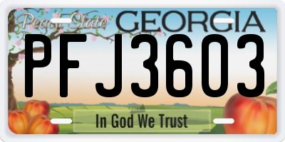 GA license plate PFJ3603