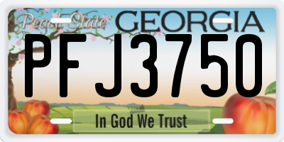 GA license plate PFJ3750