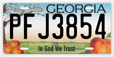 GA license plate PFJ3854