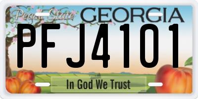 GA license plate PFJ4101