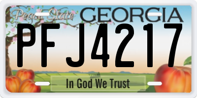 GA license plate PFJ4217