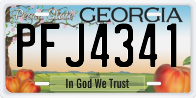 GA license plate PFJ4341