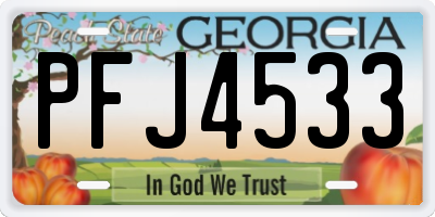 GA license plate PFJ4533