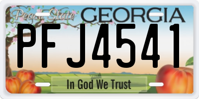 GA license plate PFJ4541
