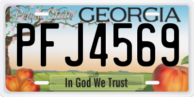 GA license plate PFJ4569