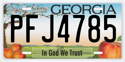 GA license plate PFJ4785
