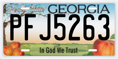 GA license plate PFJ5263