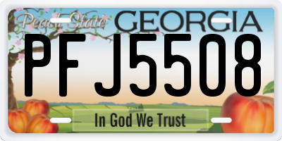 GA license plate PFJ5508