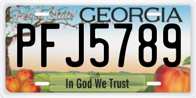 GA license plate PFJ5789