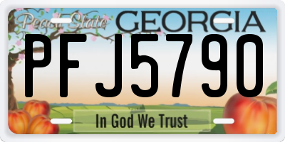 GA license plate PFJ5790