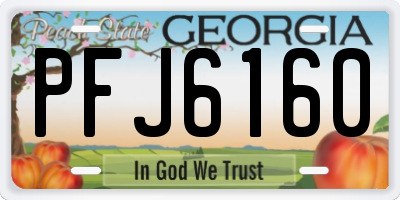 GA license plate PFJ6160