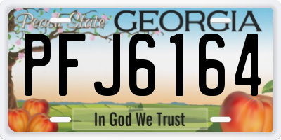 GA license plate PFJ6164