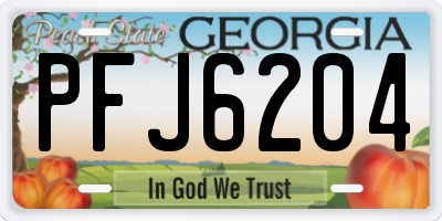 GA license plate PFJ6204