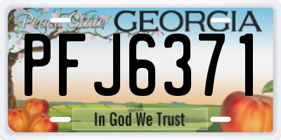 GA license plate PFJ6371
