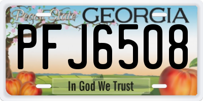 GA license plate PFJ6508