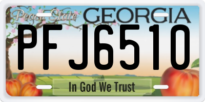 GA license plate PFJ6510