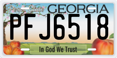 GA license plate PFJ6518