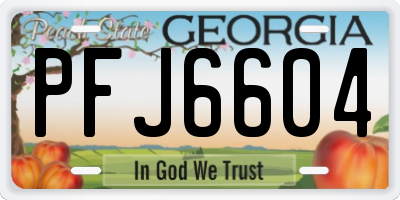 GA license plate PFJ6604