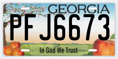 GA license plate PFJ6673