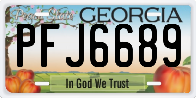 GA license plate PFJ6689