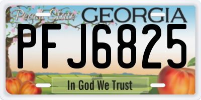 GA license plate PFJ6825