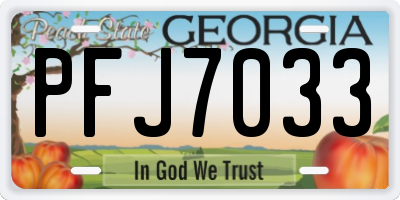 GA license plate PFJ7033