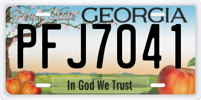GA license plate PFJ7041
