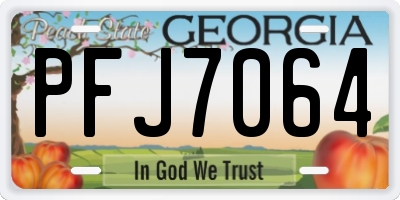 GA license plate PFJ7064
