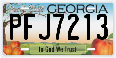 GA license plate PFJ7213