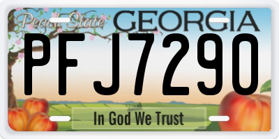 GA license plate PFJ7290