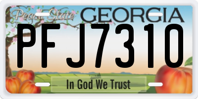 GA license plate PFJ7310