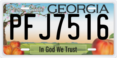 GA license plate PFJ7516