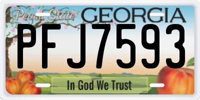 GA license plate PFJ7593