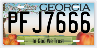 GA license plate PFJ7666
