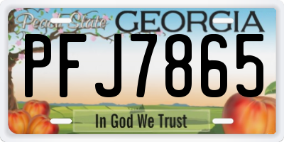 GA license plate PFJ7865