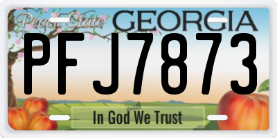 GA license plate PFJ7873