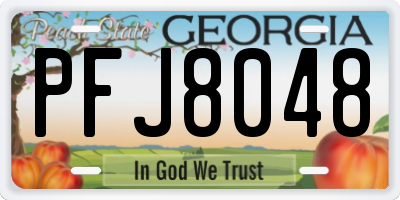 GA license plate PFJ8048