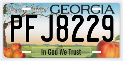 GA license plate PFJ8229